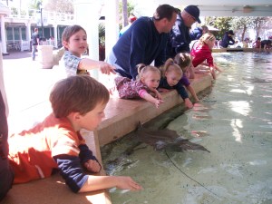 Touching the Manta Ray's